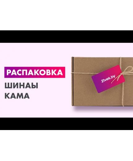 KAMA 365 (НК-241) 205/55R16 91H Фото 3