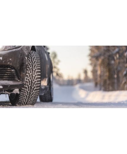 NOKIAN WR D4 195/60R15 92H Фото 11