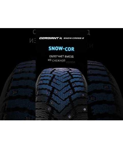 CORDIANT Snow Cross 2 175/70R13 82T Фото 10