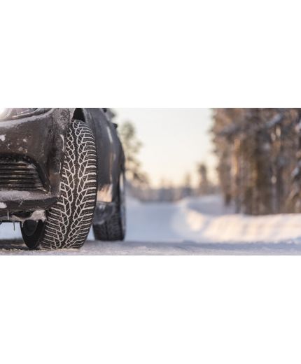 NOKIAN WR D4 225/50R17 98H Фото 12