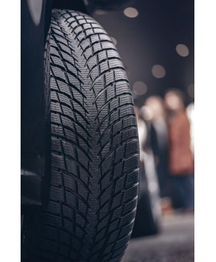 NOKIAN WR Snowproof P 225/55R17 101V Фото 10