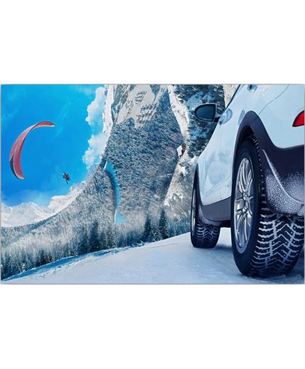 CORDIANT Snow Cross 2 225/50R17 98T Фото 3