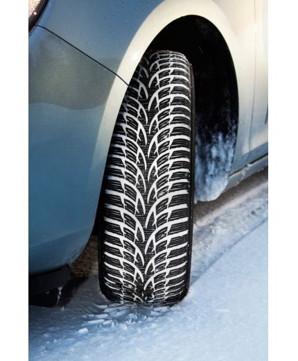 NOKIAN WR D3 185/60 R15 88Т XL TL Фото 2