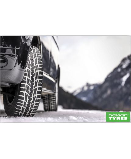 NOKIAN WR C3 225/55R17C 109/107T Фото 15