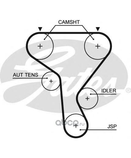 GATES Ремень ГРМ