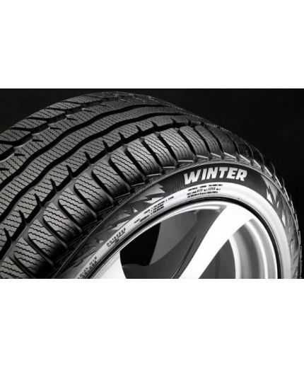 FORMULA Winter 195/65R15 91T Фото 3