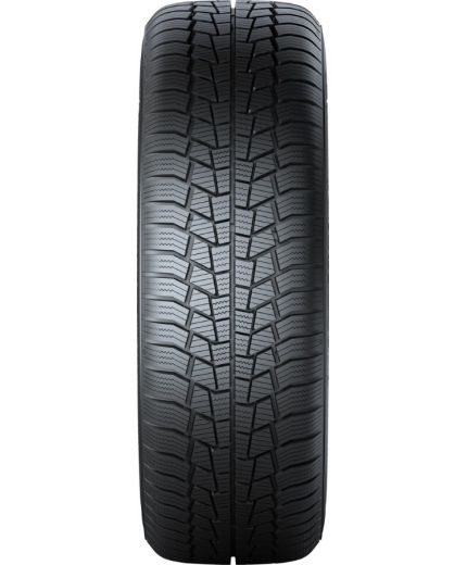 GISLAVED Euro*Frost 6 195/55R16 91H Фото 8