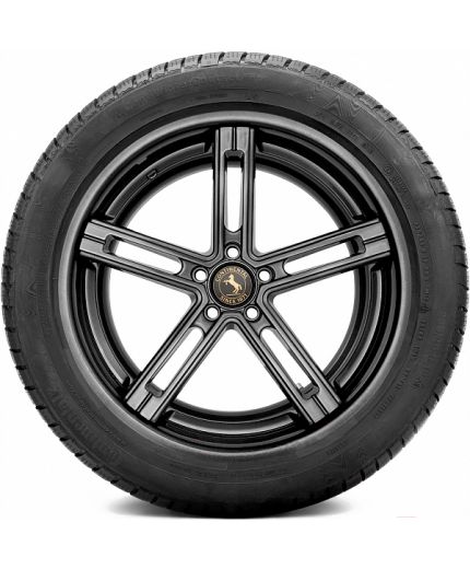 CONTINENTAL ContiWinterContact TS 830 P 255/50R19 107V (run-flat) Фото 3