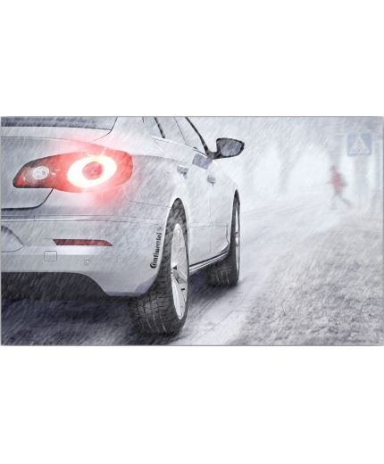 CONTINENTAL ContiWinterContact TS 830 P 255/50R19 107V (run-flat) Фото 4