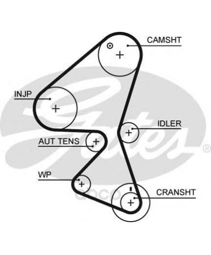 GATES Ремень ГРМ