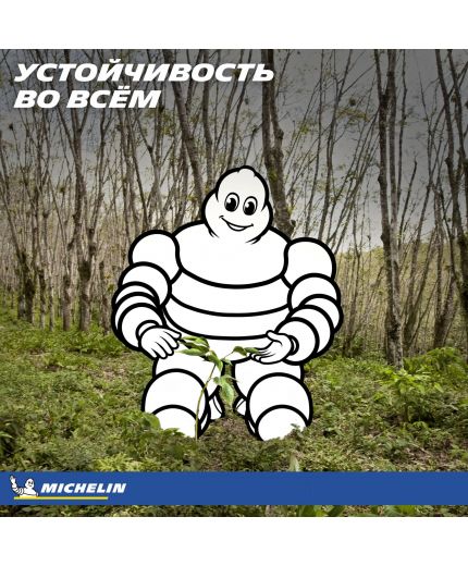 MICHELIN X-Ice Snow 245/45R19 102H Фото 11