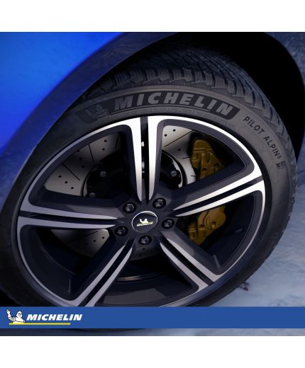 MICHELIN Pilot Alpin 5 225/50R17 98H (run-flat) Фото 8