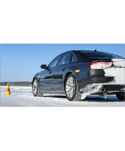 PIRELLI Ice Zero 215/50R17 95T (с шипами) Фото 8