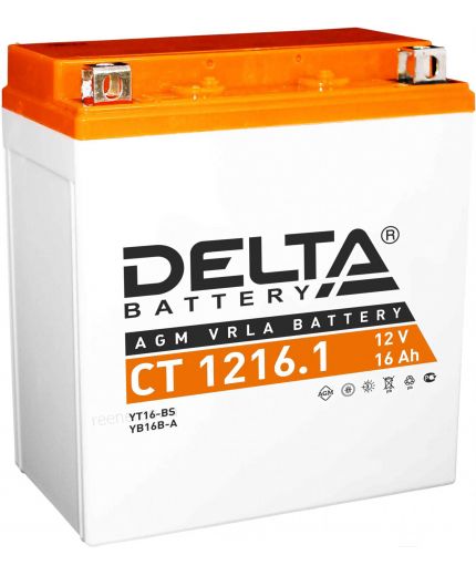 Delta CT 1216.1 (16 А/ч) Фото 4