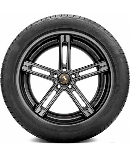 CONTINENTAL ContiWinterContact TS 830 P 235/45R19 99V Фото 9