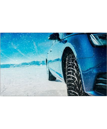 TOYO Observe G3-ICE 205/50R17 89T Фото 9